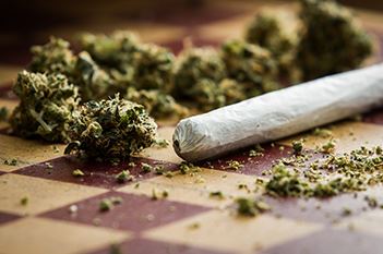 Cannabis dispersed across a table next to a joint