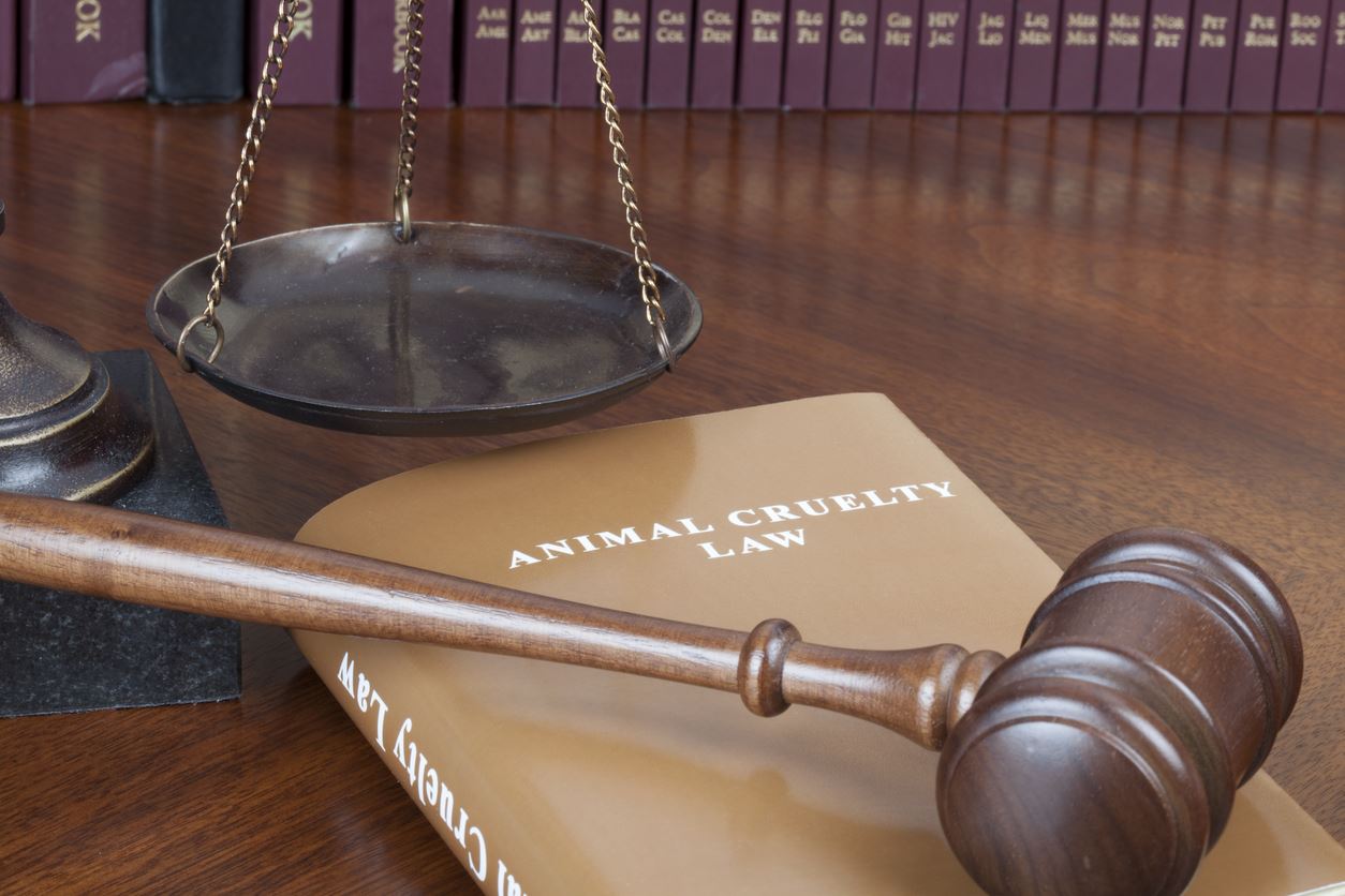 A mock book cover with a judge's gavel and scale of justice in office environment.