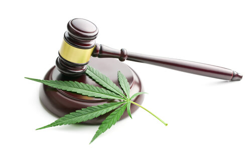 gavel on top of a cannabis leaf